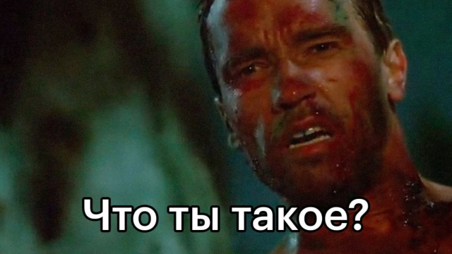 ������ ���� ������� ��� 