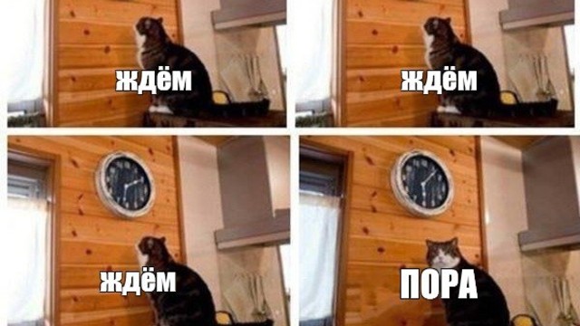 ��� ���� ������ � ������ ����������� ������ � �����������